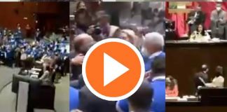Se arma campal en la Cámara de Diputados, hasta Noroña le entró a la trifulca (Video)