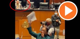 Sánchez Cordero no pone orden en el Senado