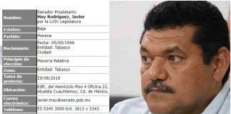 Javier May estudios