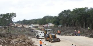 Famosos y artistas se suman a campaña contra el Tren Maya