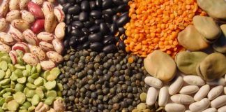 PACIC debe garantizar la producción de granos: Canami