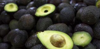 Kilo de aguacate alcanza los 140 pesos en algunas zonas del país
