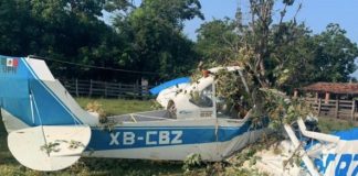 Se desploma una avioneta en Tomatlán, Jalisco