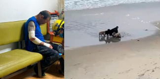perros hombre en playas de Tijuana
