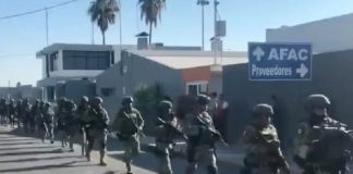 Tras hallazgo de cuerpos descuartizados en NL, llegan 100 militares a reforzar la seguridad