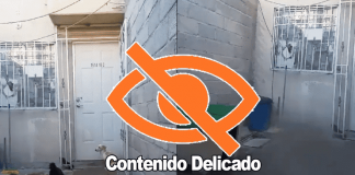 Denuncian a sujeto que levanta perritos para darlos de comer a sus mascotas