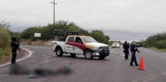 tamaulipas cuerpos descuartizados