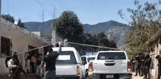 Masacre en Veracruz: asesinan a 7 personas a bordo de una camioneta
