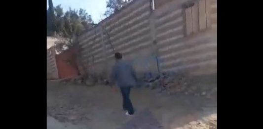 La reportera Sofía Valdivia denuncia agresión sexual en su contra en Oaxaca