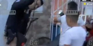 lobo que se escapó del Zoológico