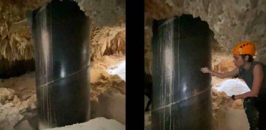 Otro revés para Andrés Manuel: Dictan suspensión de obras del Tramo 5 del Tren Maya,ecocidio que provocó la 4T con el Tren Maya