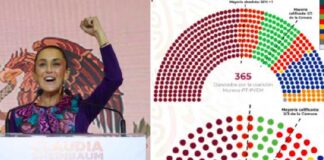 Desde el extranjero expresan preocupación por victoria de Morena en Congreso