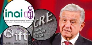 Estos órganos autónomos están en la mira del “Plan C”