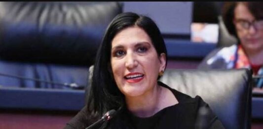 ¿Kenia López Rabadán buscará la dirigencia del PAN?,Kenia López será presidenta de la Cámara de Diputados