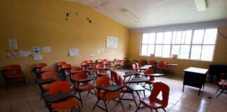 ODI: aumenta la explotación sexual infantil en escuela; SEP no atiende casos