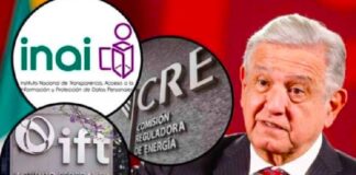 ONG´s exigen al Congreso no acelerar dictaminación sobre desaparición de órganos autónomos