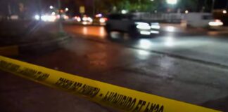 Sujeto mató a su pareja y a sus perros