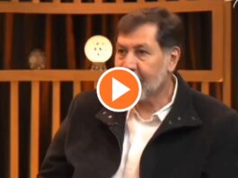 VIDEO: “Si se van las inversiones, no importa”, dice Noroña,Noroña arremetió de nuevo contra Norma Piña,Noroña reconoce al ministro Pérez Dayán,oposición encarcelaría a AMLO y a Sheinbaum,Noroña corrige el tono, Noroña Teuchitlán