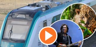 Caifanes Tren Maya