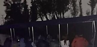 trajinera xochimilco