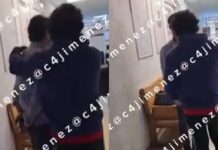 Labio lepornio Profeco