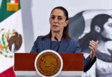 claro-que-no-sheinbaum-responde-a-trump-niega-que-autoridades-esten-petrificadas-por-el-narco