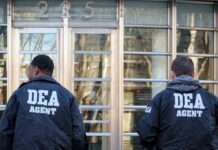 eu-debe-hacer-su-parte-en-combate-al-narcotrafico-mexico-cumple-sheinbaum