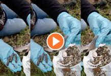 guerreros-buscadores-de-jalisco-reporta-hallazgo-de-un-crematorio-cerca-de-teuchitlan