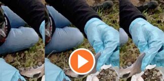 guerreros-buscadores-de-jalisco-reporta-hallazgo-de-un-crematorio-cerca-de-teuchitlan