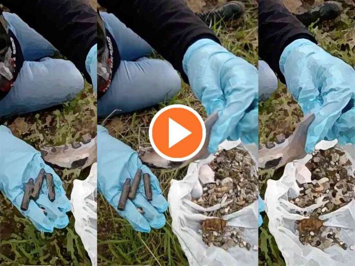 guerreros-buscadores-de-jalisco-reporta-hallazgo-de-un-crematorio-cerca-de-teuchitlan