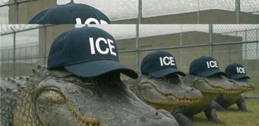 mexicanos-no-llegaran-a-alligator-alcatraz-sheinbaum-pedira-a-eu-que-los-repatrien-a-mexico