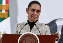 no-hay-ningun-problema-sheinbaum-sobre-presunta-salida-de-iberdrola-de-mexico