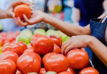 por-aranceles-al-jitomate-productores-advierten-alza-de-precios-y-riesgo-alimentario