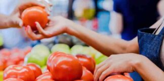 por-aranceles-al-jitomate-productores-advierten-alza-de-precios-y-riesgo-alimentario