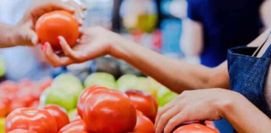 por-aranceles-al-jitomate-productores-advierten-alza-de-precios-y-riesgo-alimentario
