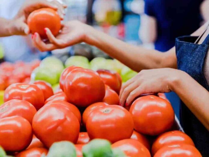 por-aranceles-al-jitomate-productores-advierten-alza-de-precios-y-riesgo-alimentario