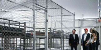 sheinbaum-confirma-que-hay-14-migrantes-mexicanos-en-alligator-alcatraz