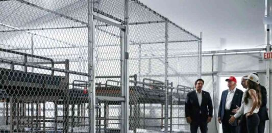 sheinbaum-confirma-que-hay-14-migrantes-mexicanos-en-alligator-alcatraz
