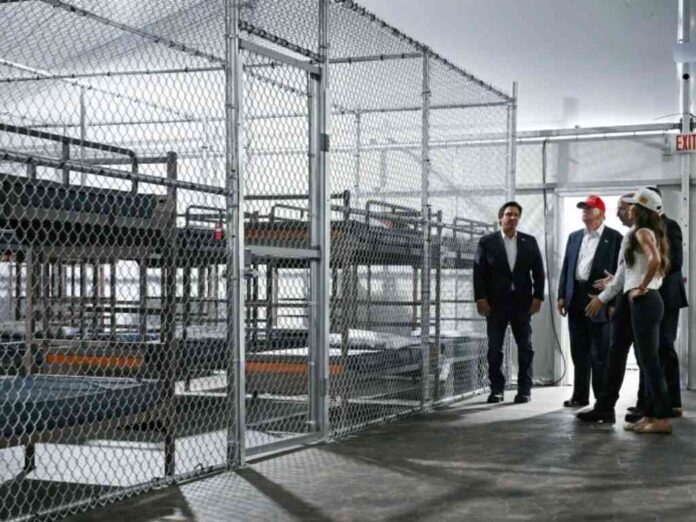 sheinbaum-confirma-que-hay-14-migrantes-mexicanos-en-alligator-alcatraz