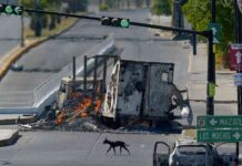 un-ano-de-la-detencion-de-el-mayo-sheinbaum-culpa-a-eu-por-la-violencia-en-sinaloa