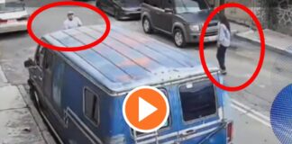 Video de la balacera en Coyoacán