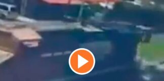 Tren Irapuato muertos