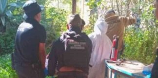 encuentran-muerto-a-estadounidense-en-cabana-en-michoacan-cuerpo-estaba-en-estado-de-putrefaccion