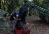 eu-sanciona-a-integrantes-de-carteles-unidos-y-los-viagras-por-extorsion-a-agricultores