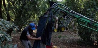 eu-sanciona-a-integrantes-de-carteles-unidos-y-los-viagras-por-extorsion-a-agricultores