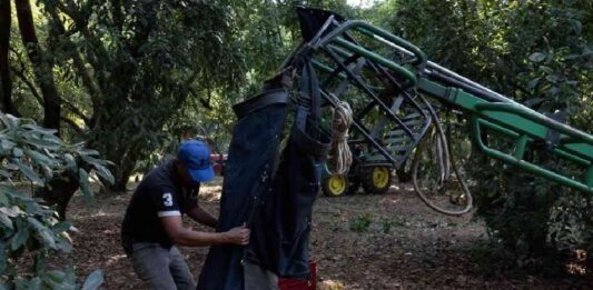eu-sanciona-a-integrantes-de-carteles-unidos-y-los-viagras-por-extorsion-a-agricultores