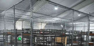 hay-81-mexicanos-migrantes-en-la-prision-de-alligator-alcatraz-sheinbaum