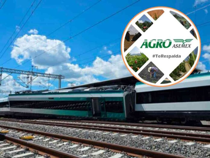 ingresos-que-genera-el-tren-maya-no-le-alcanzan-ni-para-pagar-la-poliza-contra-accidentes