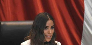 karla-estrella-termina-los-30-dias-de-disculpas-a-dato-protegido-y-lo-hace-con-un-meme