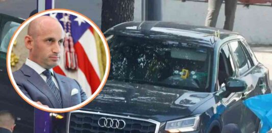 la-cdmx-esta-gobernada-por-los-carteles-asesor-de-trump